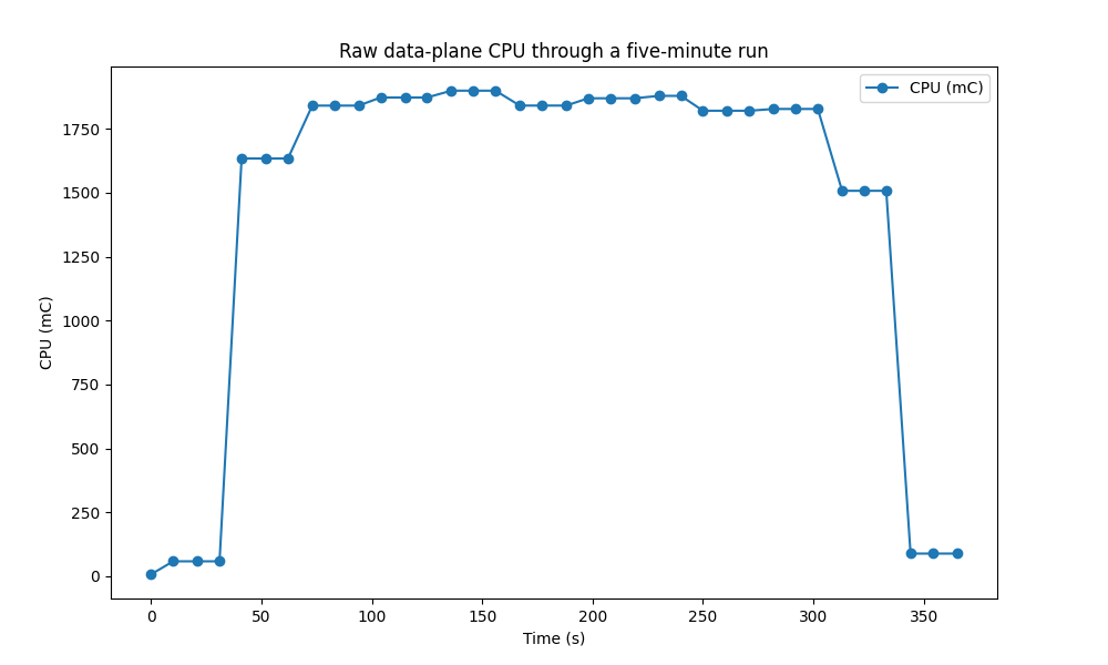 Raw Data Plane Usage